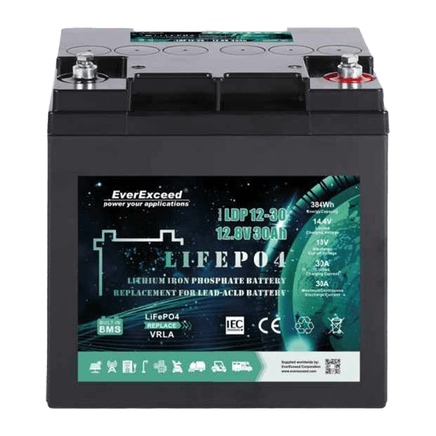 EverExceed LDP 12-30